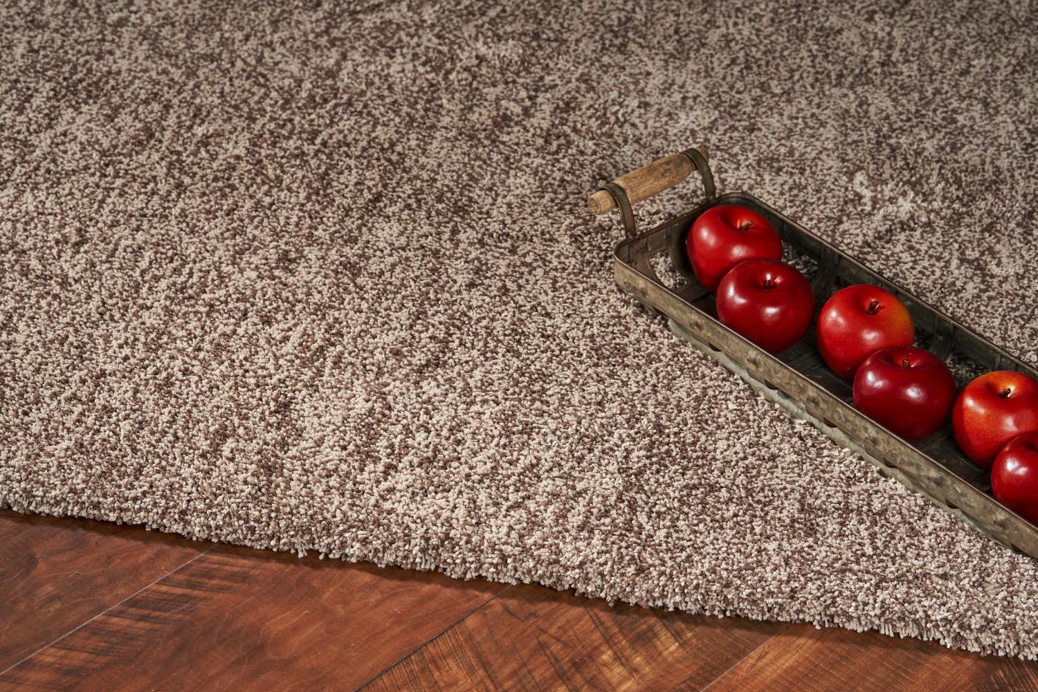 Bahia XVII 5' x 7' - Beige Heather Area Rug - Image 2