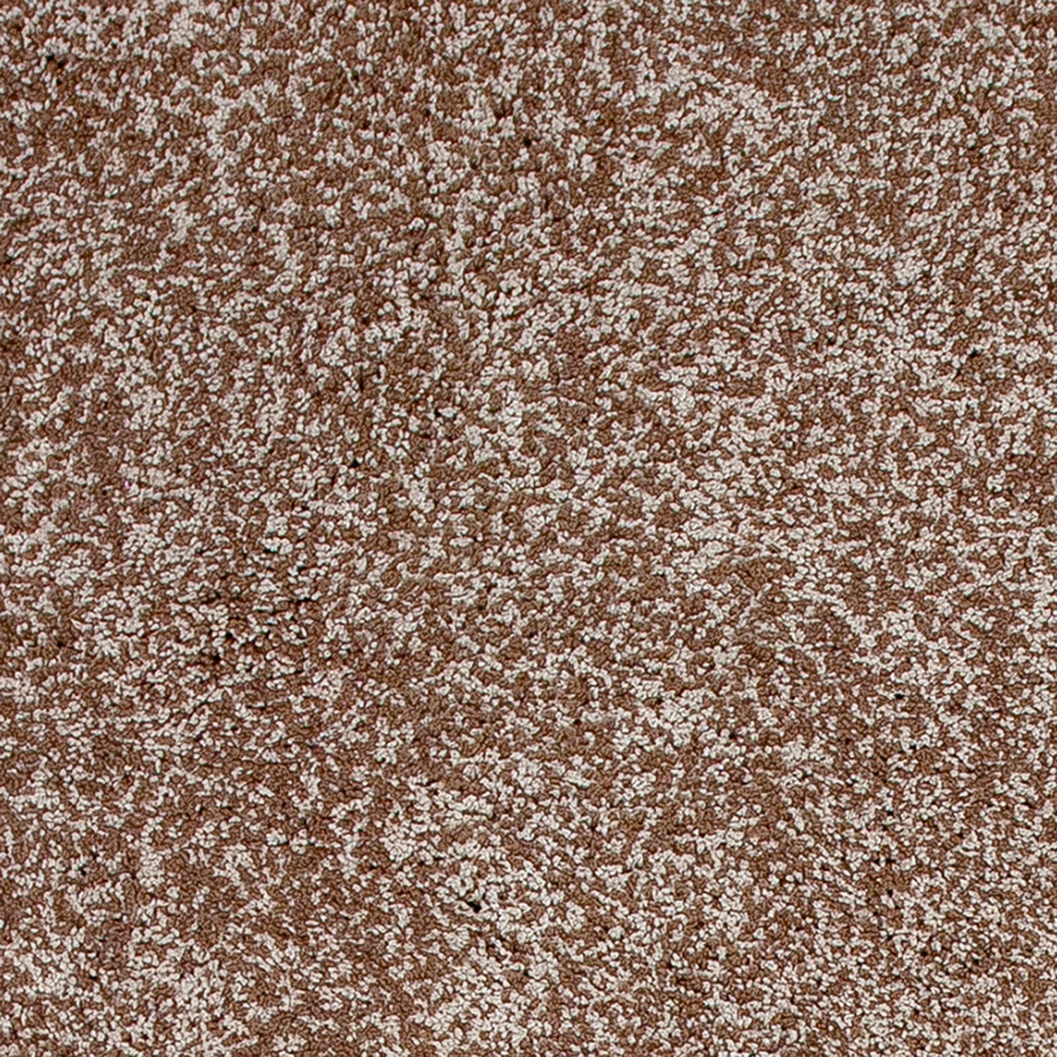 Bahia XVII 5' x 7' - Beige Heather Area Rug - Image 3