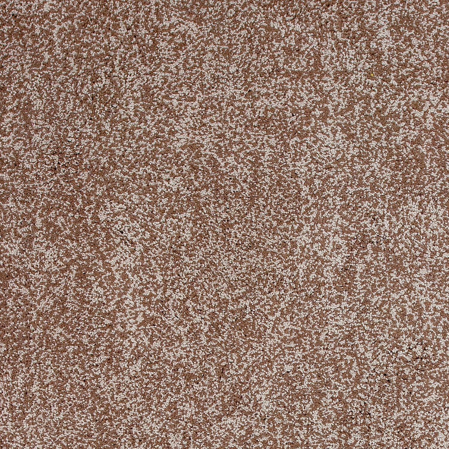 Bahia XVII 5' x 7' - Beige Heather Area Rug - Image 4