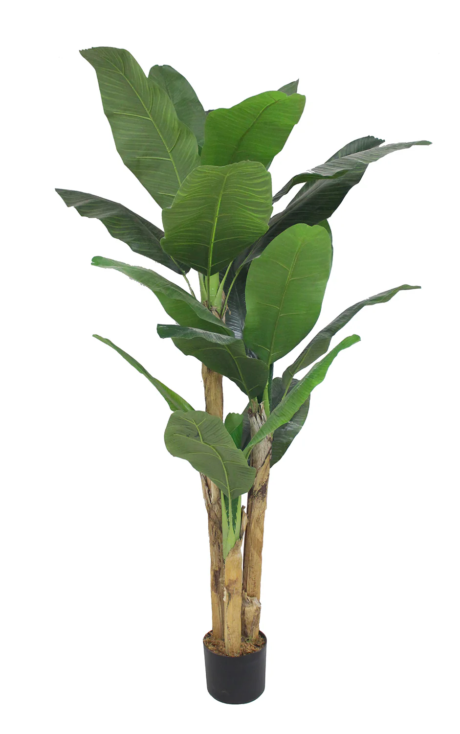 Garden Party 5.91ft Artificial Indoor Multi-Trunk Banana Tree