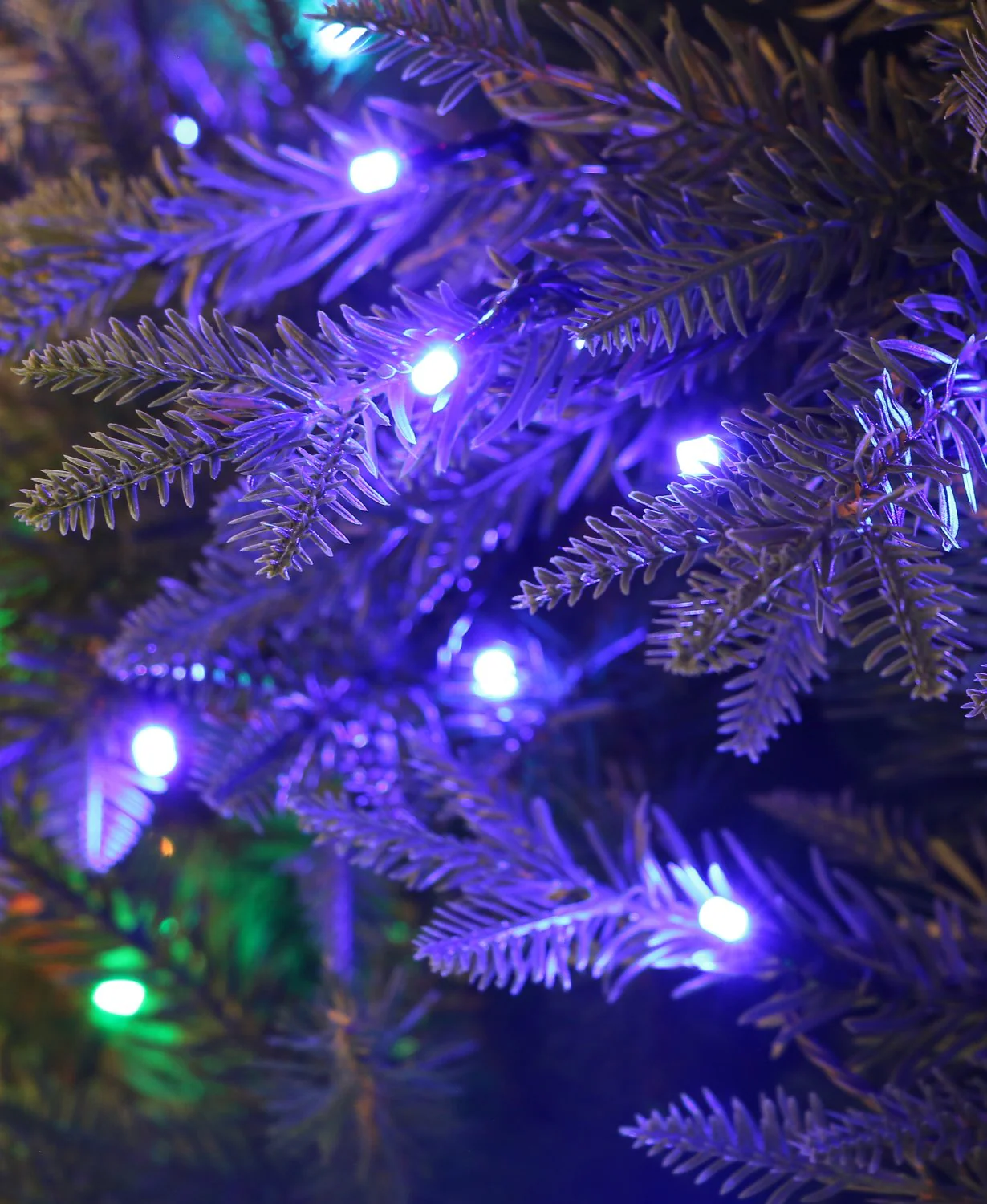 Ivo 8ft Aurora Northern Spruce Pre Lit LED Light Christmas Tree - Multi-coloured - Image 4