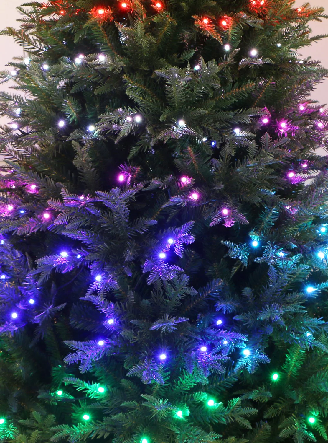 Ivo 8ft Aurora Northern Spruce Pre Lit LED Light Christmas Tree - Multi-coloured - Image 5