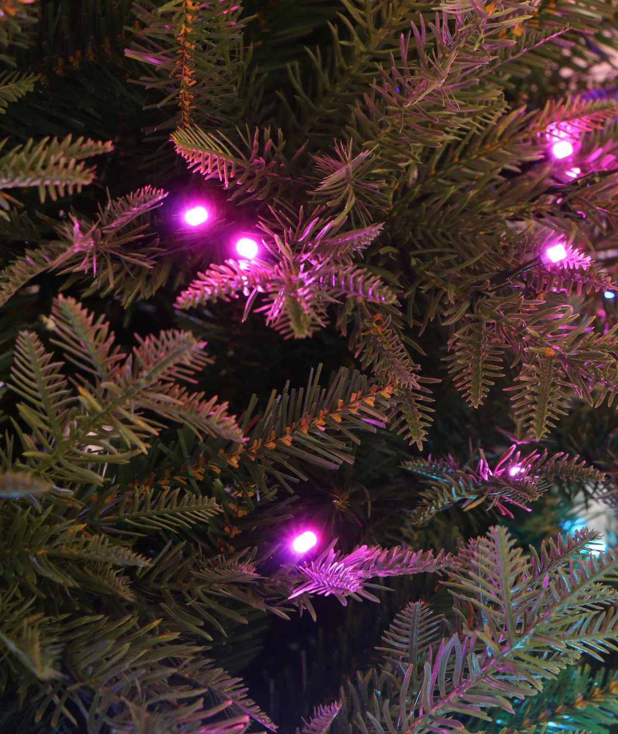 Ivo 8ft Aurora Northern Spruce Pre Lit LED Light Christmas Tree - Multi-coloured - Image 6