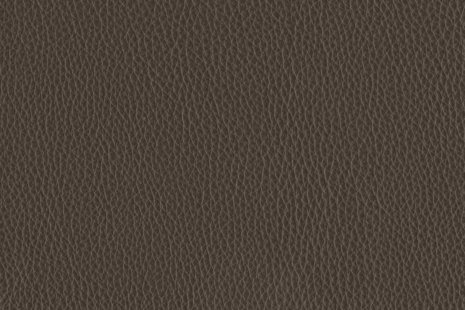 Naples Loveseat - Moss - Image 4